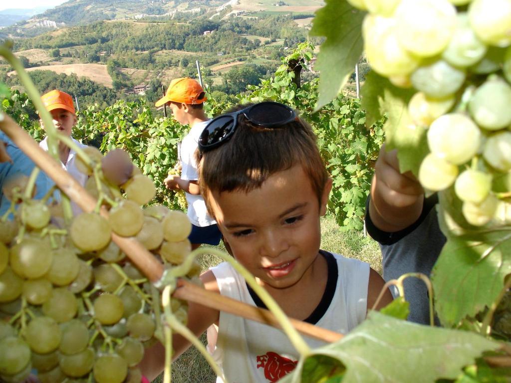 Agriturismo Ca' Isotta Castello di Serravalle Екстер'єр фото